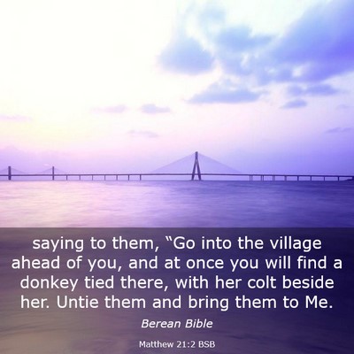 Picture 03 - Matthew 21:2 BSB - saying to them, “Go into the village ahead of - Bible Verse Picture