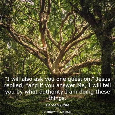 Picture 03 - Matthew 21:24 BSB - “I will also ask you one question,” Jesus - Bible Verse Picture