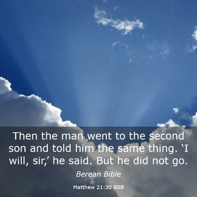 Picture 03 - Matthew 21:30 BSB - Then the man went to the second son and told him - Bible Verse Picture
