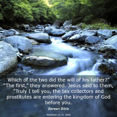 Picture 03 - Matthew 21:31 BSB - Which of the two did the will of his father?” - Bible Verse Picture