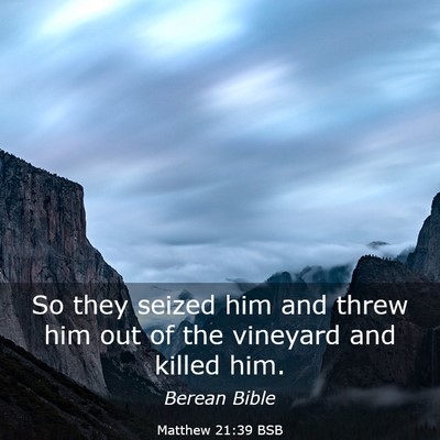 Picture 03 - Matthew 21:39 BSB - So they seized him and threw him out of the - Bible Verse Picture