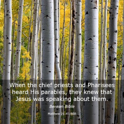 Picture 03 - Matthew 21:45 BSB - When the chief priests and Pharisees heard His - Bible Verse Picture