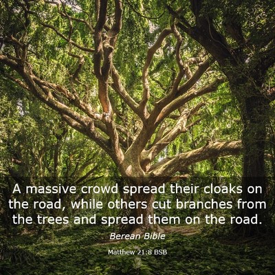 Picture 03 - Matthew 21:8 BSB - A massive crowd spread their cloaks on the road, - Bible Verse Picture