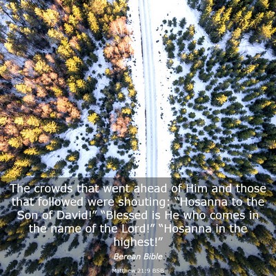 Picture 03 - Matthew 21:9 BSB - The crowds that went ahead of Him and those that - Bible Verse Picture