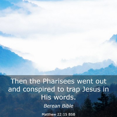 Picture 03 - Matthew 22:15 BSB - Then the Pharisees went out and conspired to trap - Bible Verse Picture