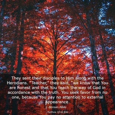 Picture 03 - Matthew 22:16 BSB - They sent their disciples to Him along with the - Bible Verse Picture