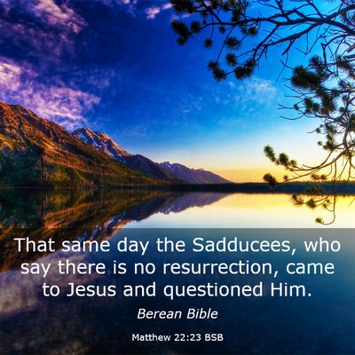 Picture 03 - Matthew 22:23 BSB - That same day the Sadducees, who say there is no - Bible Verse Picture