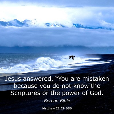 Picture 03 - Matthew 22:29 BSB - Jesus answered, “You are mistaken because you - Bible Verse Picture