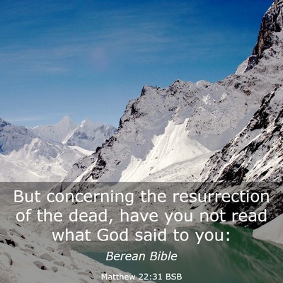 Picture 03 - Matthew 22:31 BSB - But concerning the resurrection of the dead, have - Bible Verse Picture