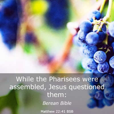 Picture 03 - Matthew 22:41 BSB - While the Pharisees were assembled, Jesus - Bible Verse Picture