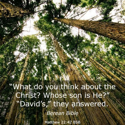 Picture 03 - Matthew 22:42 BSB - “What do you think about the Christ? Whose son - Bible Verse Picture