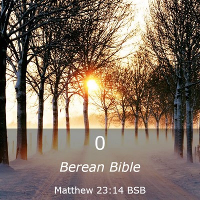 Picture 03 - Matthew 23:14 BSB -  - Bible Verse Picture