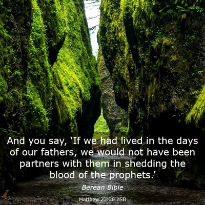 Picture 03 - Matthew 23:30 BSB - And you say, ‘If we had lived in the days of - Bible Verse Picture
