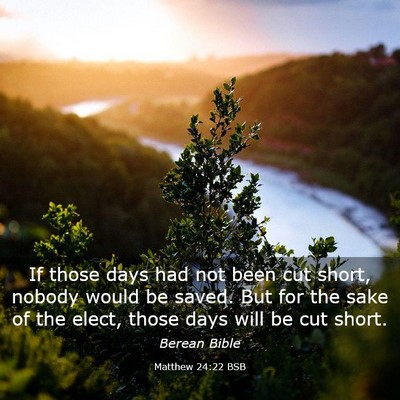 Picture 03 - Matthew 24:22 BSB - If those days had not been cut short, nobody - Bible Verse Picture