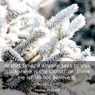 Picture 03 - Matthew 24:23 BSB - At that time, if anyone says to you, ‘Look, - Bible Verse Picture