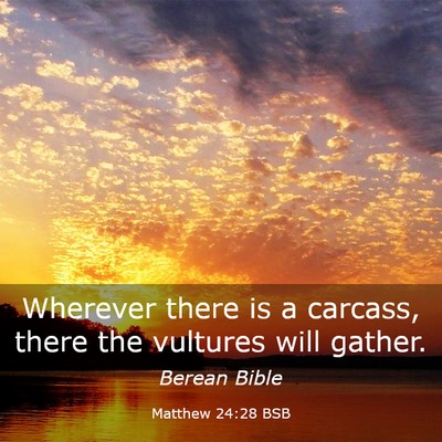 Picture 03 - Matthew 24:28 BSB - Wherever there is a carcass, there the vultures - Bible Verse Picture