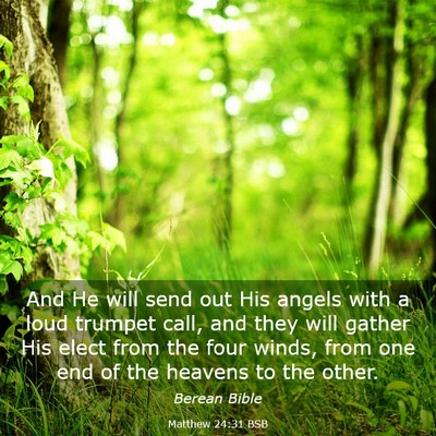 Picture 03 - Matthew 24:31 BSB - And He will send out His angels with a loud - Bible Verse Picture
