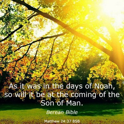 Picture 03 - Matthew 24:37 BSB - As it was in the days of Noah, so will it be at - Bible Verse Picture