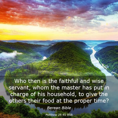 Picture 03 - Matthew 24:45 BSB - Who then is the faithful and wise servant, whom - Bible Verse Picture