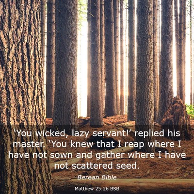 Picture 03 - Matthew 25:26 BSB - ‘You wicked, lazy servant!’ replied his - Bible Verse Picture