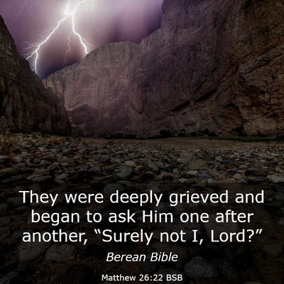 Picture 03 - Matthew 26:22 BSB - They were deeply grieved and began to ask Him one - Bible Verse Picture