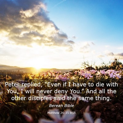 Picture 03 - Matthew 26:35 BSB - Peter replied, “Even if I have to die with You, - Bible Verse Picture