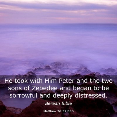 Picture 03 - Matthew 26:37 BSB - He took with Him Peter and the two sons of - Bible Verse Picture