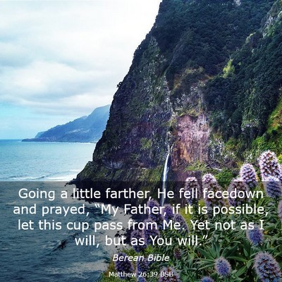 Picture 03 - Matthew 26:39 BSB - Going a little farther, He fell facedown and - Bible Verse Picture