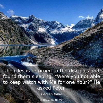 Picture 03 - Matthew 26:40 BSB - Then Jesus returned to the disciples and found - Bible Verse Picture