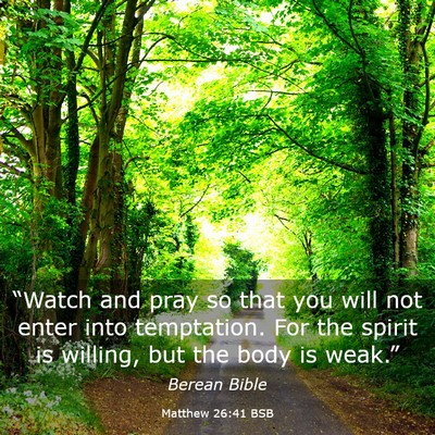 Picture 03 - Matthew 26:41 BSB - “Watch and pray so that you will not enter into - Bible Verse Picture