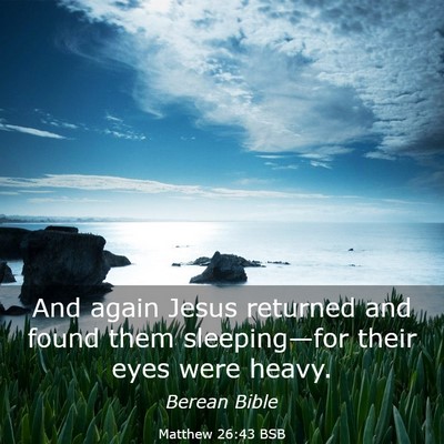 Picture 03 - Matthew 26:43 BSB - And again Jesus returned and found them - Bible Verse Picture