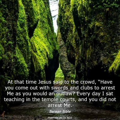 Picture 03 - Matthew 26:55 BSB - At that time Jesus said to the crowd, “Have you - Bible Verse Picture