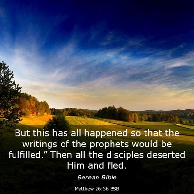 Picture 03 - Matthew 26:56 BSB - But this has all happened so that the writings of - Bible Verse Picture