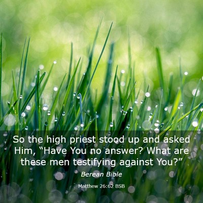 Picture 03 - Matthew 26:62 BSB - So the high priest stood up and asked Him, - Bible Verse Picture