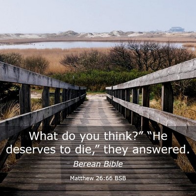 Picture 03 - Matthew 26:66 BSB - What do you think?” “He deserves to die,” - Bible Verse Picture