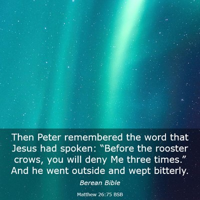 Picture 03 - Matthew 26:75 BSB - Then Peter remembered the word that Jesus had - Bible Verse Picture