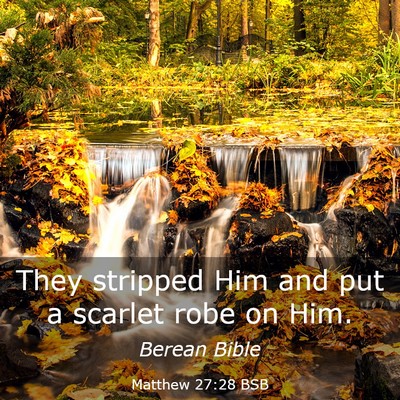 Picture 03 - Matthew 27:28 BSB - They stripped Him and put a scarlet robe on - Bible Verse Picture