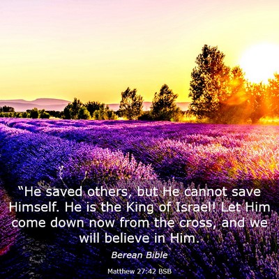 Picture 03 - Matthew 27:42 BSB - “He saved others, but He cannot save Himself. - Bible Verse Picture