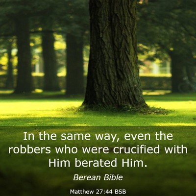 Picture 03 - Matthew 27:44 BSB - In the same way, even the robbers who were - Bible Verse Picture