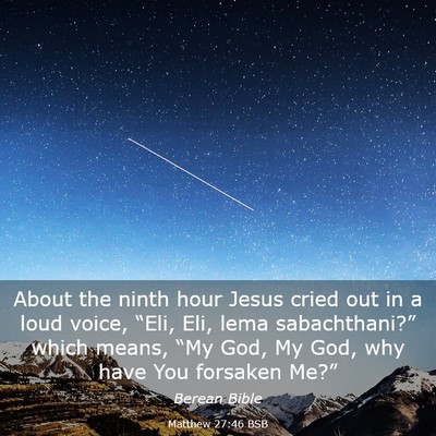 Picture 03 - Matthew 27:46 BSB - About the ninth hour Jesus cried out in a loud - Bible Verse Picture