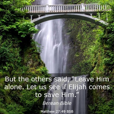 Picture 03 - Matthew 27:49 BSB - But the others said, “Leave Him alone. Let us - Bible Verse Picture