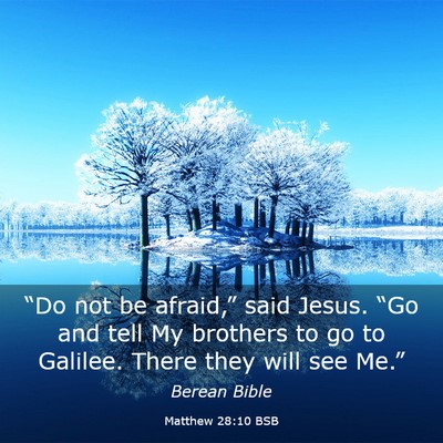 Picture 03 - Matthew 28:10 BSB - “Do not be afraid,” said Jesus. “Go and - Bible Verse Picture