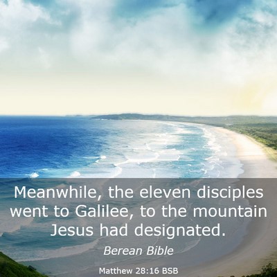 Picture 03 - Matthew 28:16 BSB - Meanwhile, the eleven disciples went to Galilee, - Bible Verse Picture
