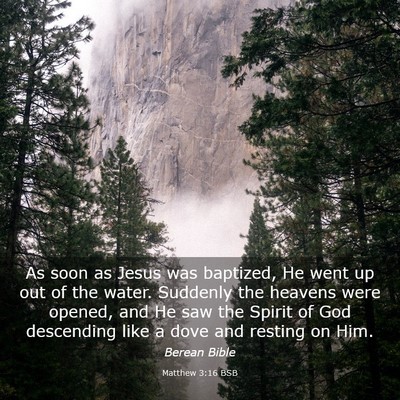 Picture 03 - Matthew 3:16 BSB - As soon as Jesus was baptized, He went up out of - Bible Verse Picture