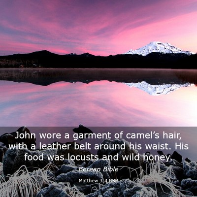 Picture 03 - Matthew 3:4 BSB - John wore a garment of camel’s hair, with a - Bible Verse Picture