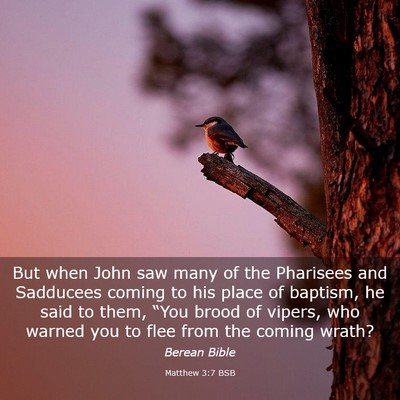 Picture 03 - Matthew 3:7 BSB - But when John saw many of the Pharisees and - Bible Verse Picture