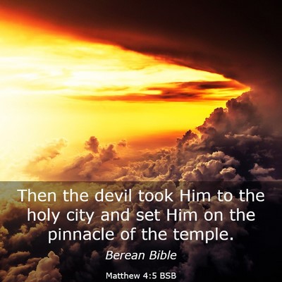Picture 03 - Matthew 4:5 BSB - Then the devil took Him to the holy city and set - Bible Verse Picture