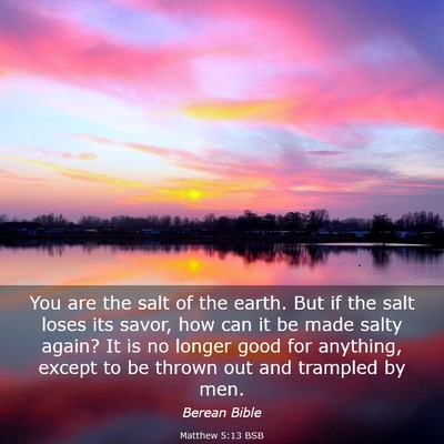 Picture 03 - Matthew 5:13 BSB - You are the salt of the earth. But if the salt - Bible Verse Picture