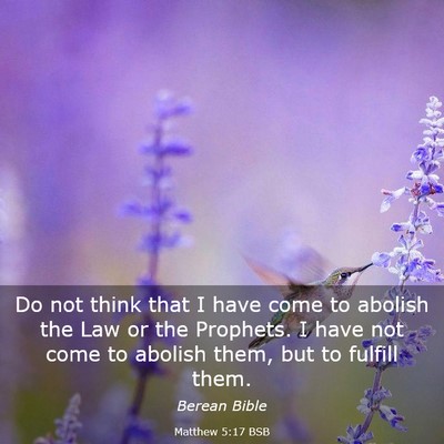 Picture 03 - Matthew 5:17 BSB - Do not think that I have come to abolish the Law - Bible Verse Picture