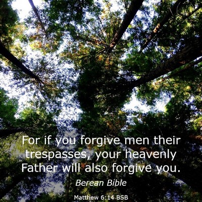 Picture 03 - Matthew 6:14 BSB - For if you forgive men their trespasses, your - Bible Verse Picture